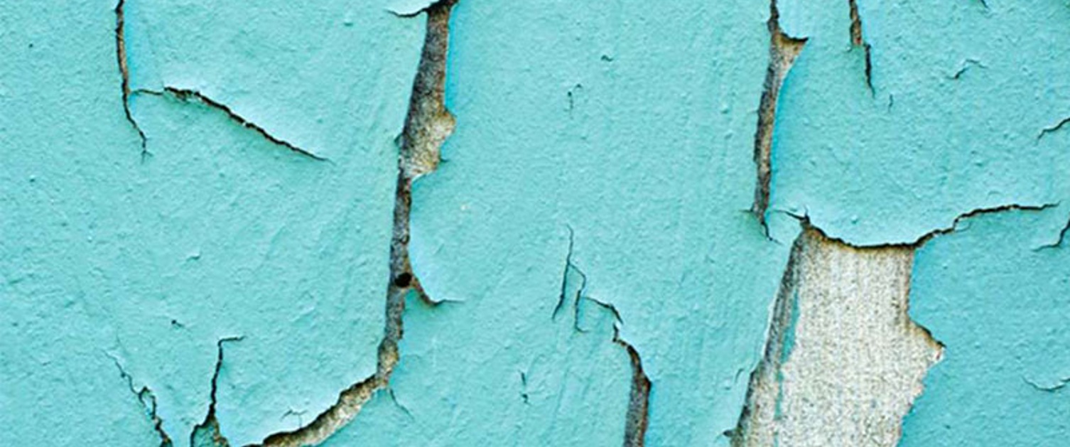 Lead Testing & Remediation